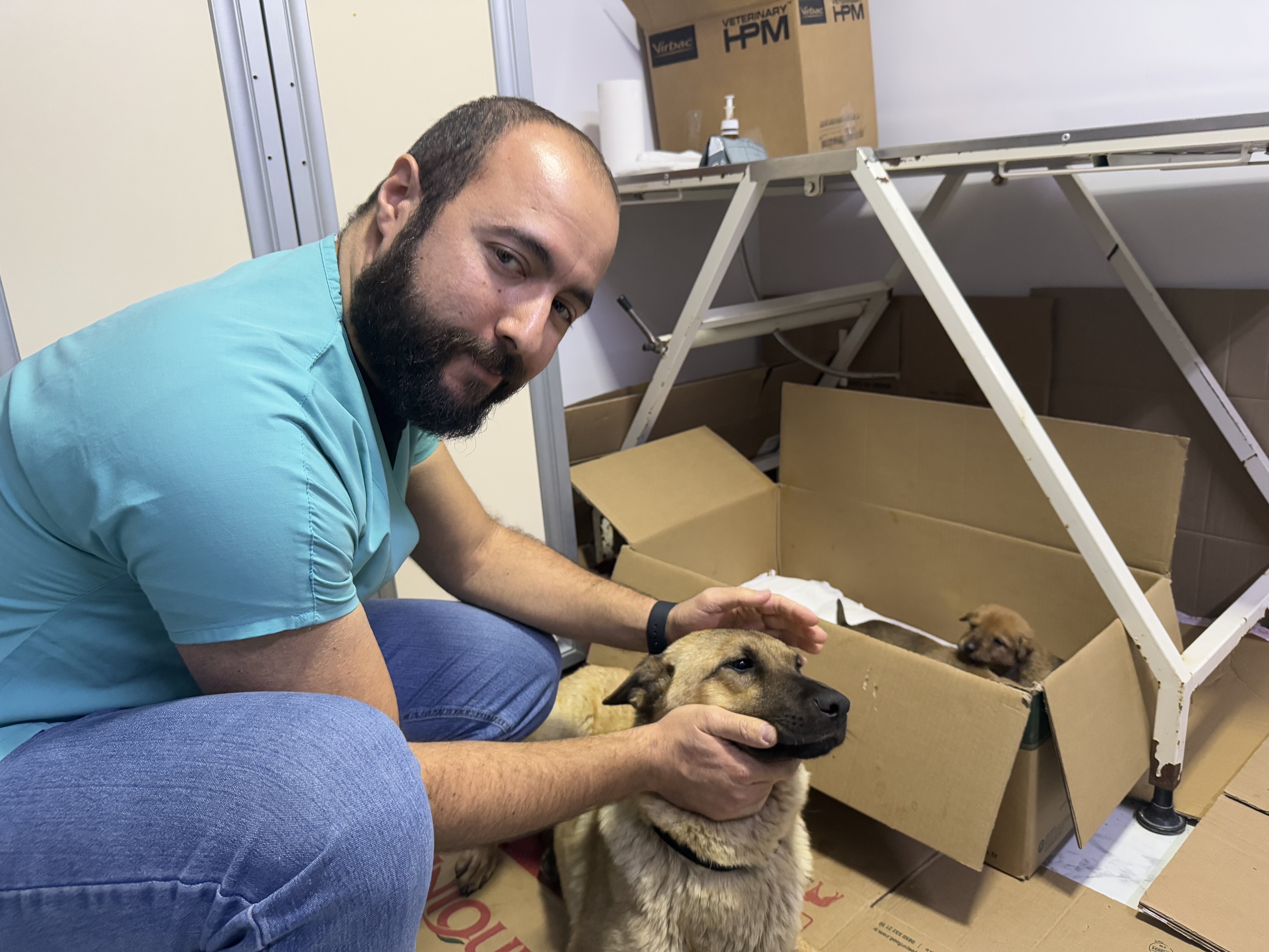 the-dog-who-brought-his-freezing-puppy-to-the-vet-was-astonished!