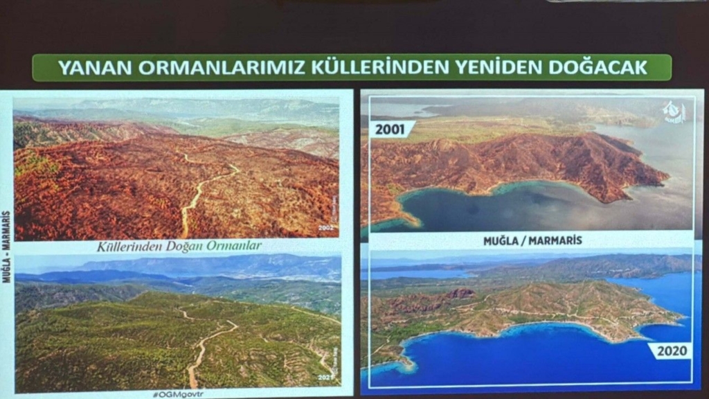 Muğla’da Orman Yangınlarının Yüzde 59’u Insan Kaynaklı Sondakika Haberler