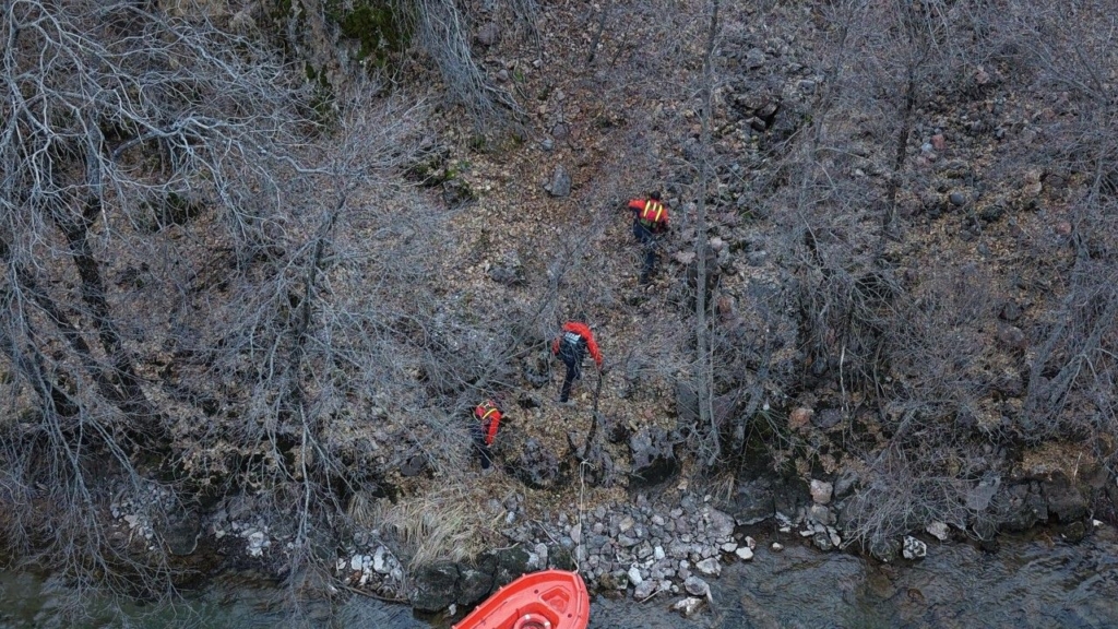 Tunceli’de Kayalıklardan Düşüp, Boynuzu Ağaca Takılan Yaban Keçisini Ekipler Kurtardı Sondakika Haberler