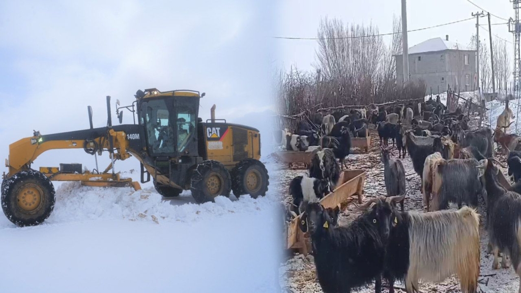 News Haberleri Muş’ta Kar Yağışı 15 Köy Yolu Ulaşıma Kapattı