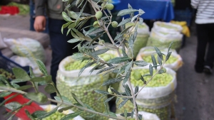 son-dakika-haberi-yesil-zeytinde-fiyatlar-her-gecen-gun-artiyor